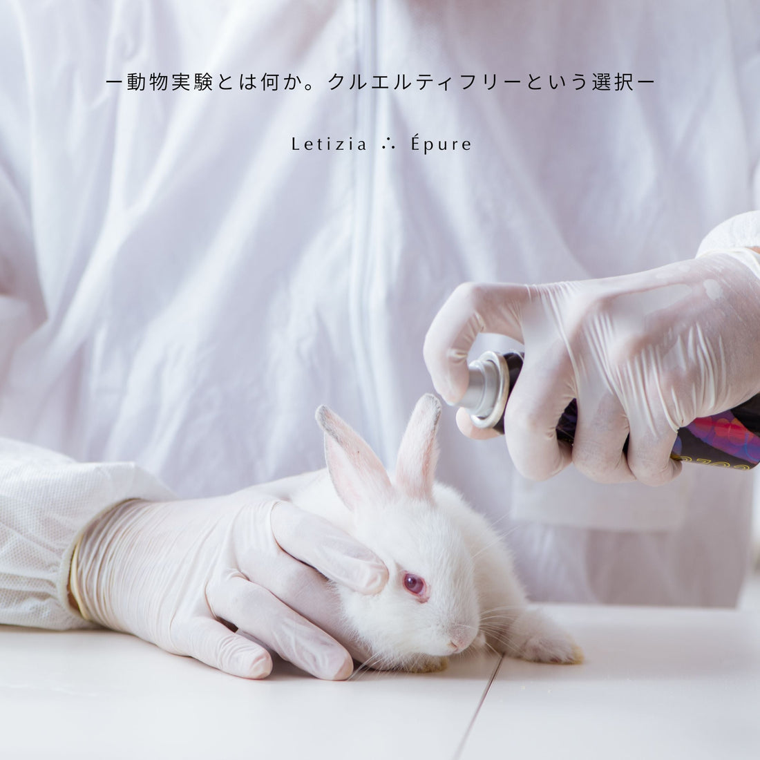 動物実験にNOを。Letizia ∴ Épureの製造への想い