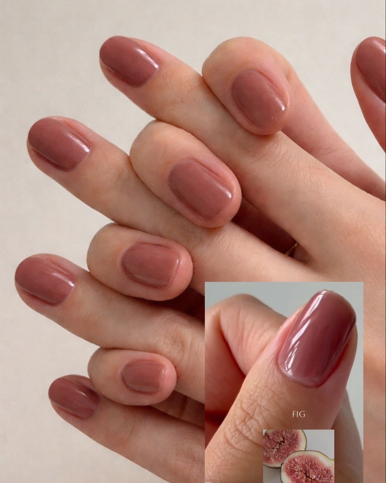 AMARYLLIS / FIG - TOP IN COLOR トップインカラージェル