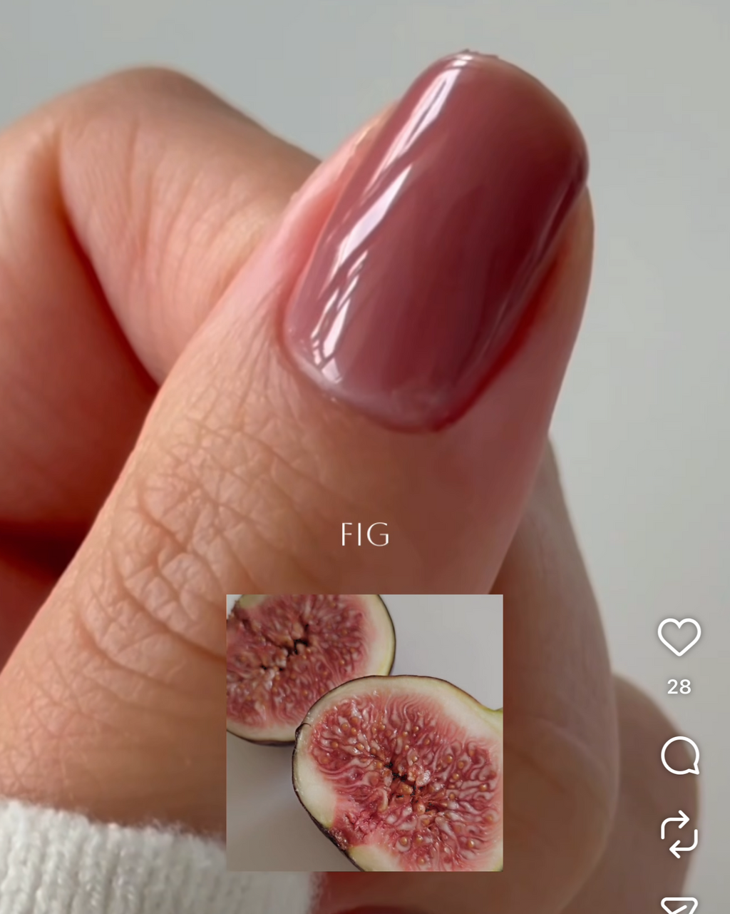 AMARYLLIS / FIG - TOP IN COLOR トップインカラージェル