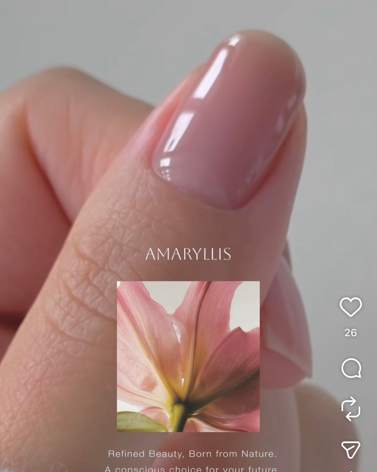 AMARYLLIS / FIG - TOP IN COLOR トップインカラージェル